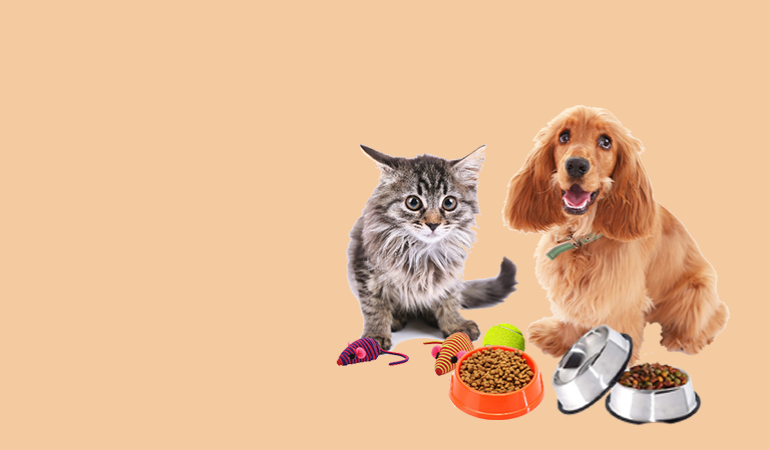 Care & Treats for Your Furry Friends