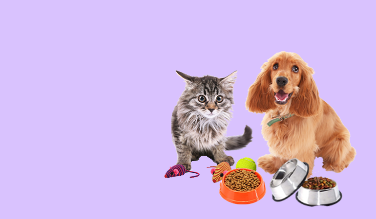 Care & Treats for Your Furry Friends